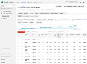 Gestion de compte Google Adwords